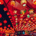 En pleine vague de froid, ce festival de lanternes au Japon a fait sensation ! 