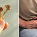 Champignons magiques / Un homme ressentant une douleur au niveau de l’entrejambe 