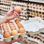 Boîtes d'oeufs dans un rayon de supermarché