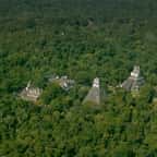 Une ancienne mégalopole maya découverte sous une jungle au Guatemala grâce à l'imagerie laser