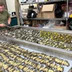 1000 oiseaux perdent la vie en s'écrasant contre un immeuble, un drame inquiétant