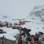 Ascension du Mont Everest