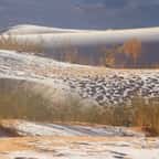 Les dunes du désert du Sahara ont été recouvertes de glace et de neige en une nuit