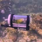 Capture d'écran montrant le perroquet dans son sous-marin