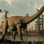 Australie : les archéologues ont découvert le crâne presque complet d’un titanosaure d’il y a 95 millions d’années