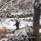 Londres : des policiers en uniforme ont été filmés en pleine bataille de boules de neige