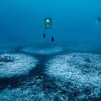 Des anneaux coralligène par 120 mètres de fond au large du cap Corse