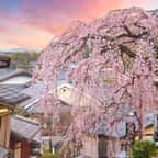 Ville de Kyoto