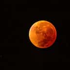Préparez-vous, la «Super Lune des moissons» illuminera le ciel le 29 septembre, un événement rare à ne pas louper