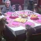 Cette grand-mère fête ses 89 ans entourée de... ses 10 chiens