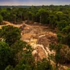 La déforestation à son plus bas niveau depuis 2018 en Amazonie, mais il n'y a pas de quoi se réjouir