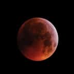 La &laquo; super lune de sang &raquo;, qui a illumin&eacute; le ciel ce matin, immortalis&eacute;e &agrave; travers le monde