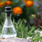 Une fiole de vinaigre blanc dans le jardin 