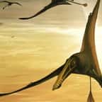 Le plus grand fossile de ptérosaure du Jurassique découvert en Écosse