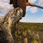 Oise : un arrêté municipal anti-chasse à courre validé par le Conseil d’État