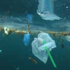Pailles, cotons-tiges et touillettes en plastique vont être interdits par le gouvernement britannique d’ici 2021