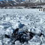 VIDÉO - Emprisonnées dans la glace, 10 orques luttent pour survivre au Japon et personne ne peut les sauver