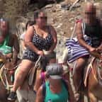 Gr&egrave;ce&nbsp;: face aux souffrances inflig&eacute;es aux animaux, les touristes ob&egrave;ses ne pourront plus monter &agrave; dos d'&acirc;ne