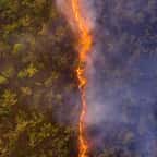 Une photo par drone capturant un incendie en Australie plébiscitée par le public au concours Wildlife Photographer of the Year 2020	