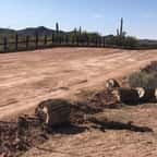Des sites sacrés amérindiens ont été explosés pour construire le mur de Trump à la frontière