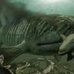 Découverte d’un fossile d’un immense poisson préhistorique aux crocs géants