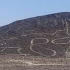 Un immense géoglyphe de félin découvert sur le fameux site archéologique de Nazca, au Pérou