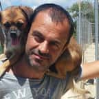 Takis Shelter, le refuge créé par un ancien dentiste qui a tout quitté pour sauver les animaux abandonnés