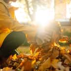 Pouvez-vous vous prendre une amende pour ne pas avoir ramassé les feuilles mortes dans votre jardin ?