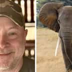Gary Freeman / Un éléphant en Afrique 