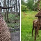 Cette artiste crée des sculptures grandeur nature avec des tiges de saule cultivées en Angleterre