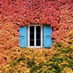 L'automne, cette saison aux couleurs chaudes, sait faire de nos habitations un lieu plus que chaleureux