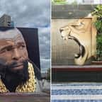 Un artiste réalise des graffitis qui se marient parfaitement avec le décor urbain
