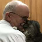 États-Unis : un vieux chat errant reçoit le premier câlin de sa vie, sa réaction est adorable 