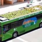 Les bus madrilènes ont désormais de la végétation sur leurs toits... Une initiative astucieuse pour lancer un nouvel écosystème urbain