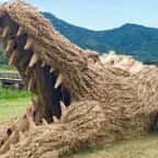 Au Japon, des animaux géants en paille envahissent les champs après la récolte du riz