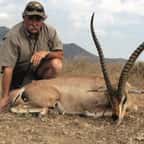 Le chasseur et une antilope morte