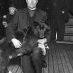 100 ans après, l’exploit du célèbre chien Balto expliqué par son ADN