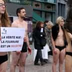 Nus contre la fourrure : des militants se dénudent à Strasbourg, malgré le froid, pour dénoncer la cruauté des fermes à fourrure