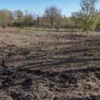 Des motards déracinent 300 arbres plantés par des bénévoles pour créer une piste de motocross