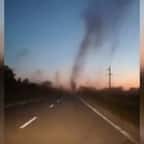 VIDÉO - des nuages de moustiques agressifs et voraces envahissent l'Argentine, un homme piqué... 1500 fois