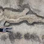 Un gigantesque fossile d'un « dragon de mer » découvert entièrement au Royaume-Uni