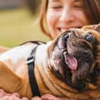 Selon une étude, avoir un chien augmenterait l’espérance de vie de 24%