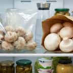Champignons frigo