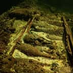 Des bouteilles de champagne vieilles de 170 ans découverte dans une épave