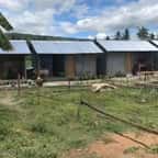 Des tiny houses en bambou