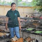 L'association Humane World for Animals veillant sur les chats volés après leur sauvetage 