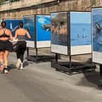 L'exposition de photo du festival