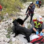 Le chien et les secours