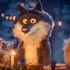 Le loup de la publicité 