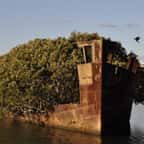 Le SS Ayrfield